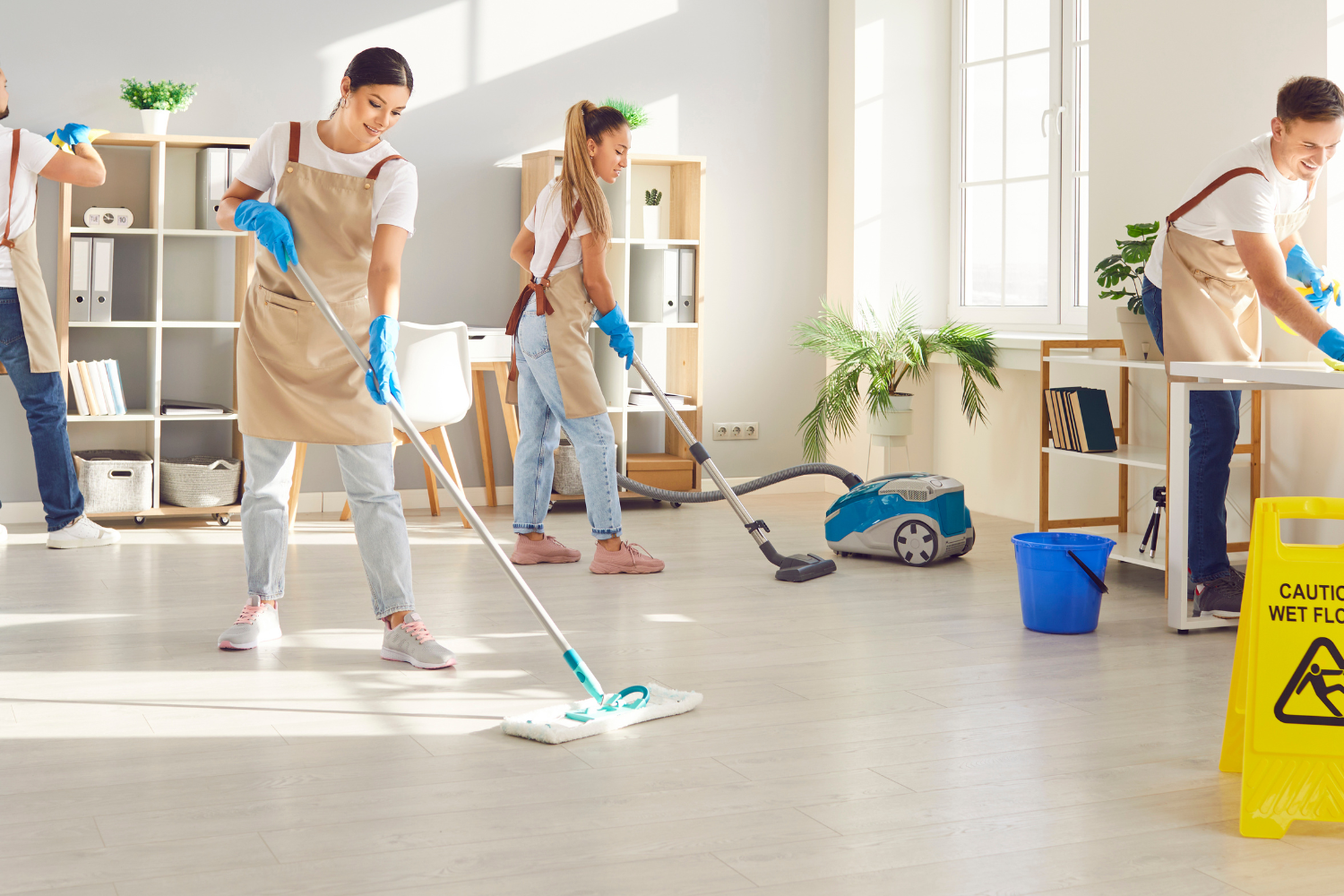 Servicios de limpieza profesional para alfombras y moquetas con eliminación de ácaros